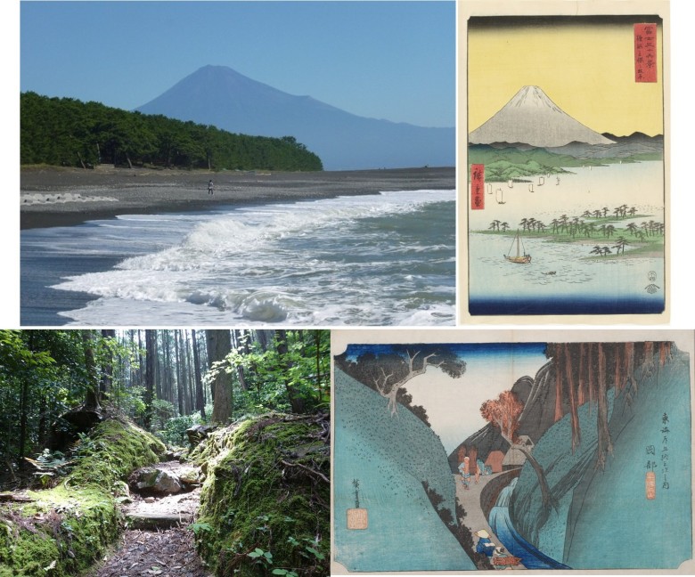 左上：三保松原／右上：冨士三十六景　駿河三保之松原（静岡市東海道広重美術館蔵） 左下：蔦の細道（宇津ノ谷峠）／右下：東海道五拾三次之内　岡部　宇津之山（藤枝市郷土博物館所蔵）