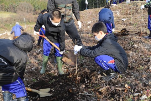 「漆うるわしの森」で苗木を植える中学生