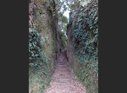 清色城跡（入来麓）の堀切