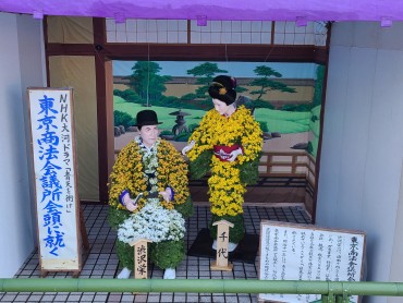 鴨島大菊人形　菊遊座と菊人形会場