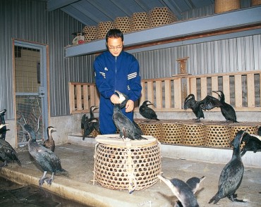 鵜匠家　鳥屋の様子