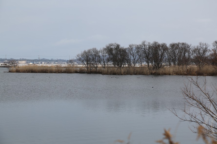 伊庭（いば）内湖
