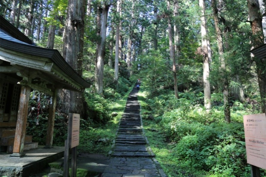 杉に囲まれた2,446段の⽯段