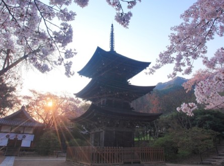 前山寺三重塔（重要文化財）©岡田光司