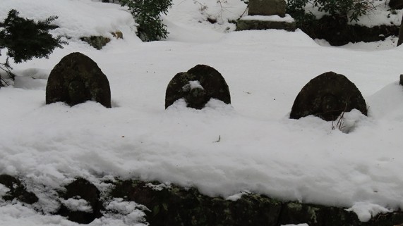 雪に埋まっている姿が、なんだか愛らしい