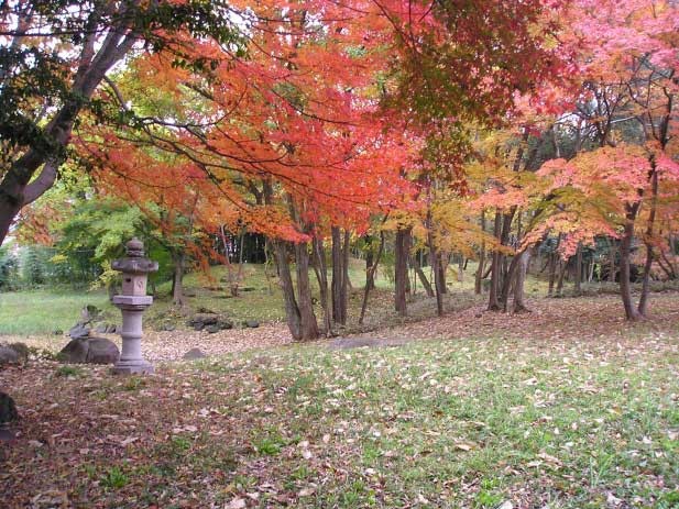 旧彦根藩松原下屋敷（お浜御殿）庭園
