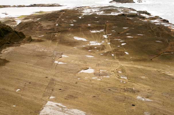 江差商人の宴席跡