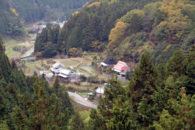 川上地区等の民家と棚田の景観 