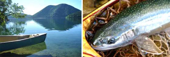 然別湖（ミヤベイワナの生息地）