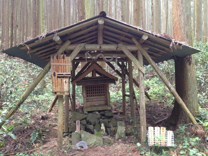 天見不動　分別功徳品