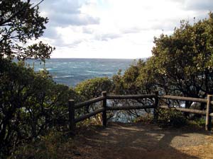 潮岬の鯨山見