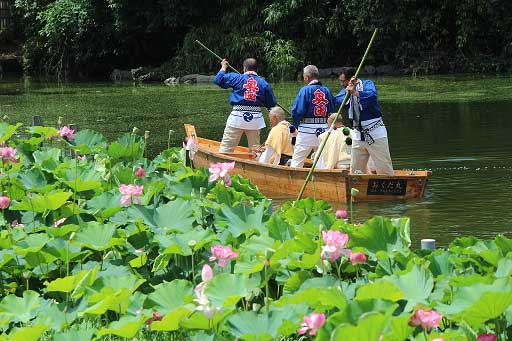 奥田蓮取り行事