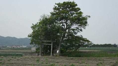 自凝島神社と国生み神話伝承地　葦原国