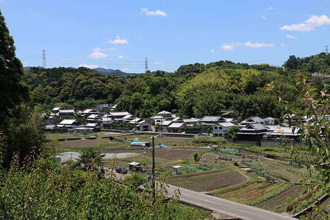 天野谷の棚田の景観 