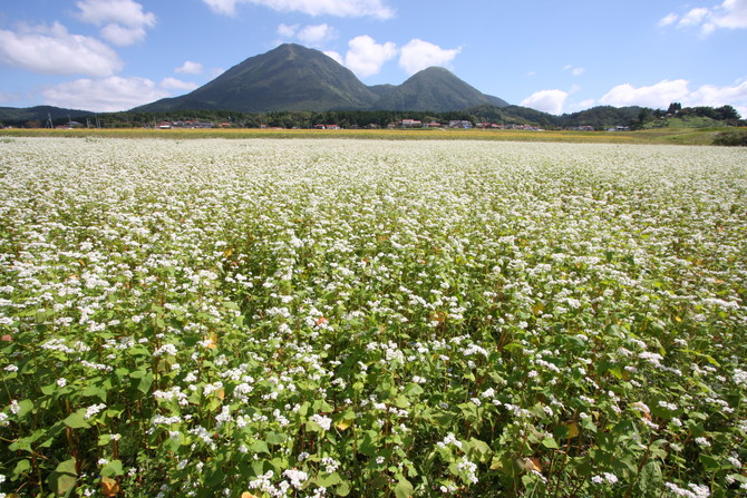 三瓶(さんべ)そば