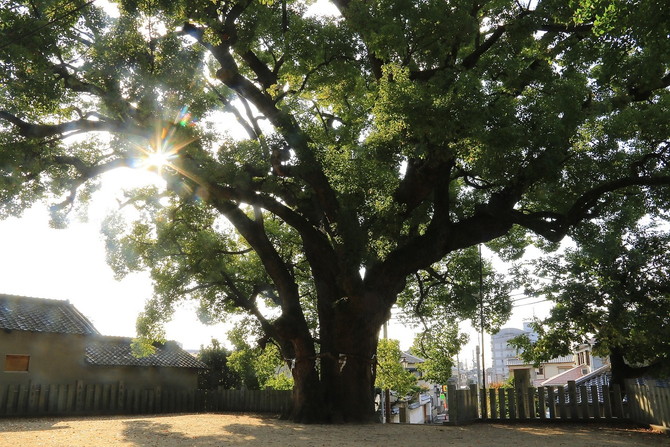 智識寺跡