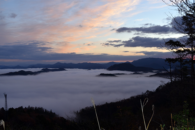 丸山城跡（まるやまじょうあと） 