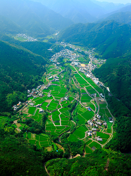 日根荘大木の農村景観 