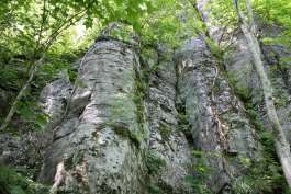 石垣山 （サン山の神、アイヌの古戦場）