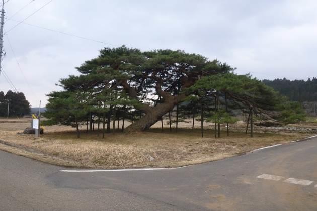 山縣農場