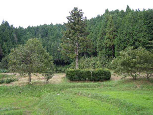 和田公方屋敷跡