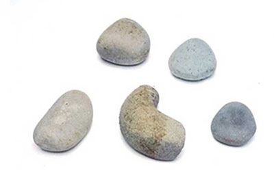 二ツ石戎ノ前遺跡及び出土品