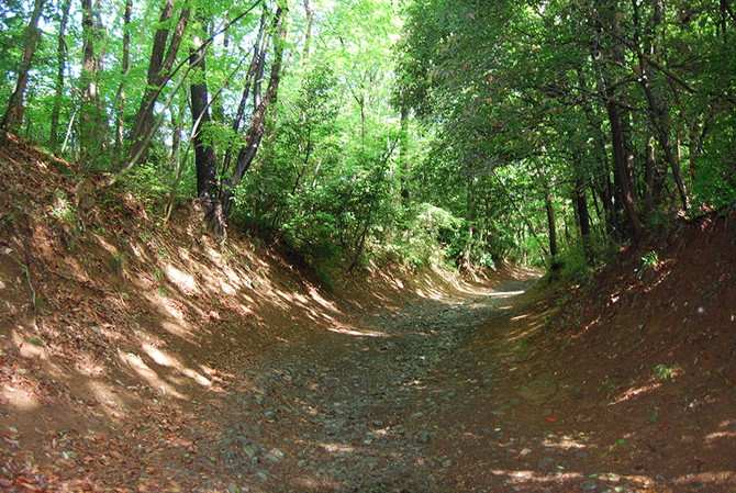 絹の道（浜街道）