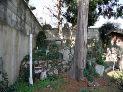 倶尸羅　薬王菩薩本事品