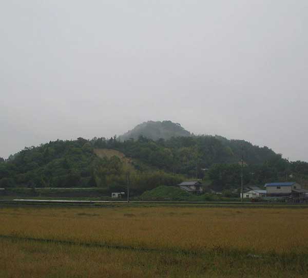 国分山城跡