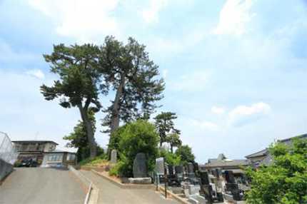 おくのほそ道の風景地（末の松山）