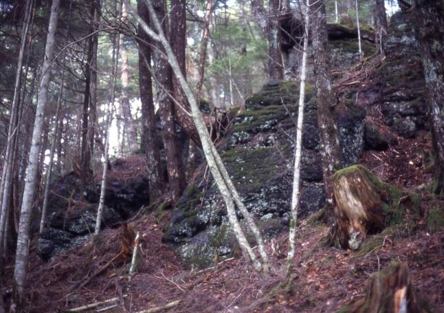 八ヶ岳の黒曜石原産地（冷山） 