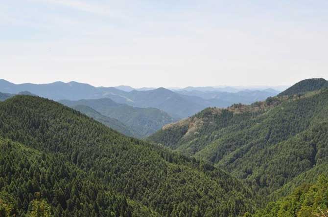 吉野の天然の森と人工林