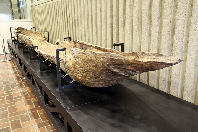 桂見遺跡出土縄文時代遺物一括 