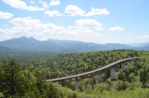 三国峠の大樹海
