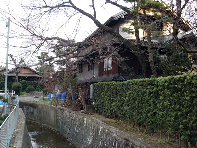 藍染川（手越川）