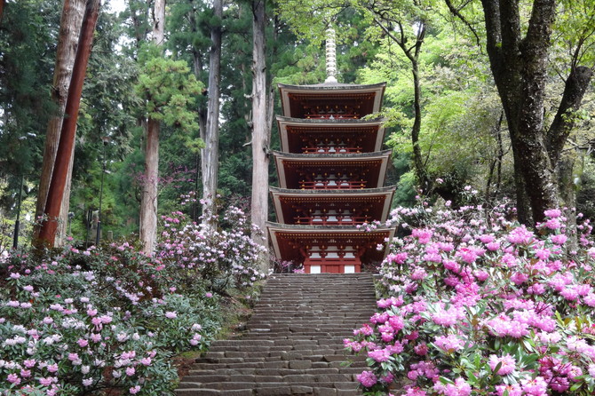 室生寺の建造物群