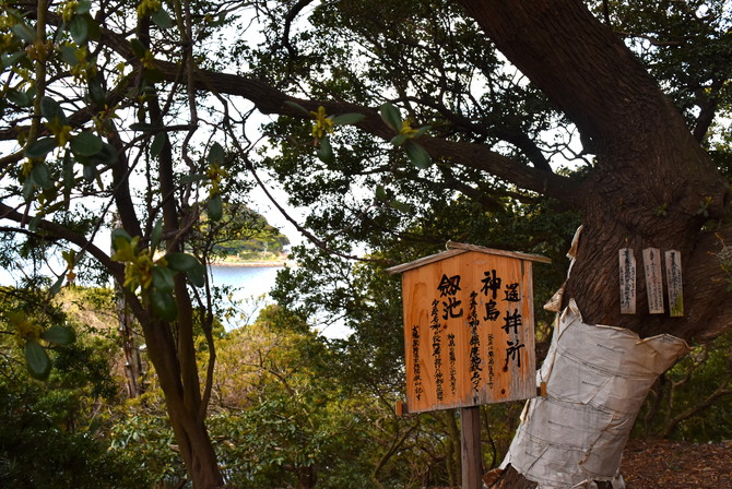 神島剣池
