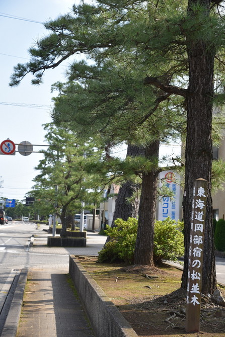東海道松並木（内谷地区）