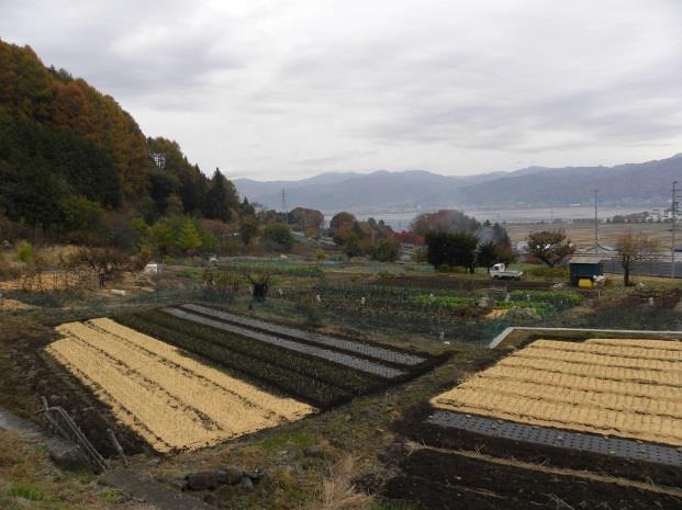 千鹿頭社・十二ノ后遺跡 