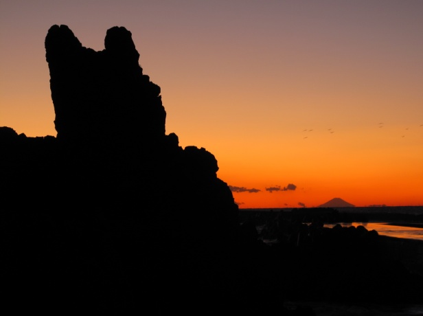 銚子の磯巡り(犬岩)