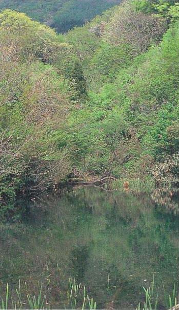 池さん神事（硯ヶ池）