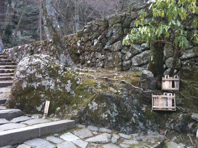 大威徳寺　法師品