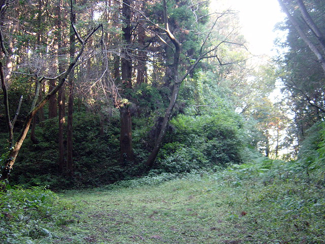 城山(亀ヶ城・花見ヶ城) 