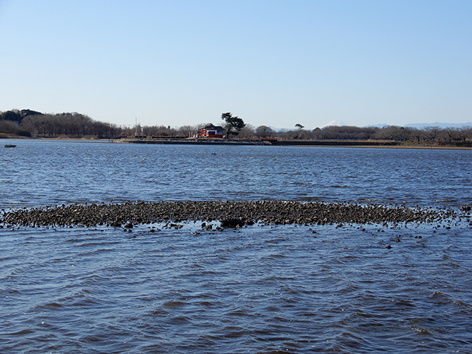 多々良沼遺跡(カナクソ) 