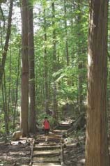 赤沢自然休養林