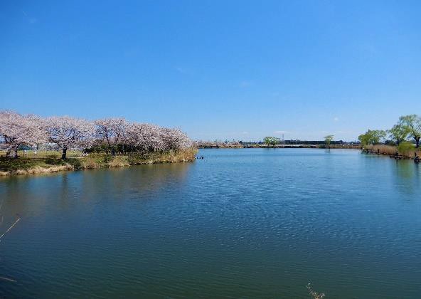 近藤沼(ホリアゲタ)