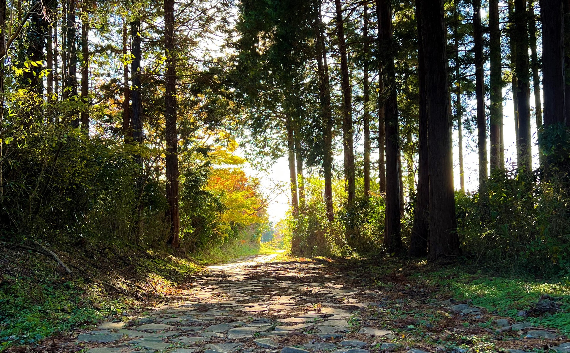浅間平地区の石畳