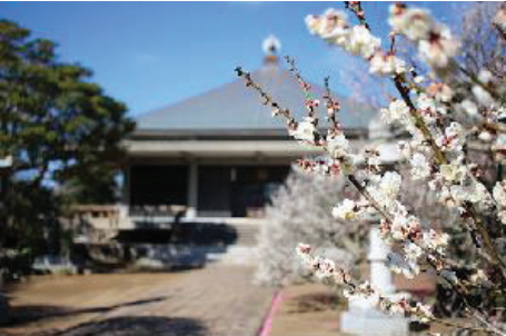 銚子の磯巡り（浄国寺）