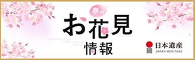 日本遺産　お花見情報