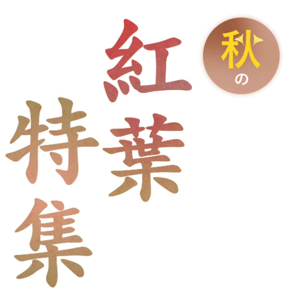 秋の紅葉特集